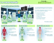 Corps humain