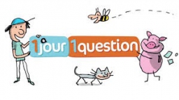 Jour question